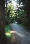 West through Central Park, Burnaby